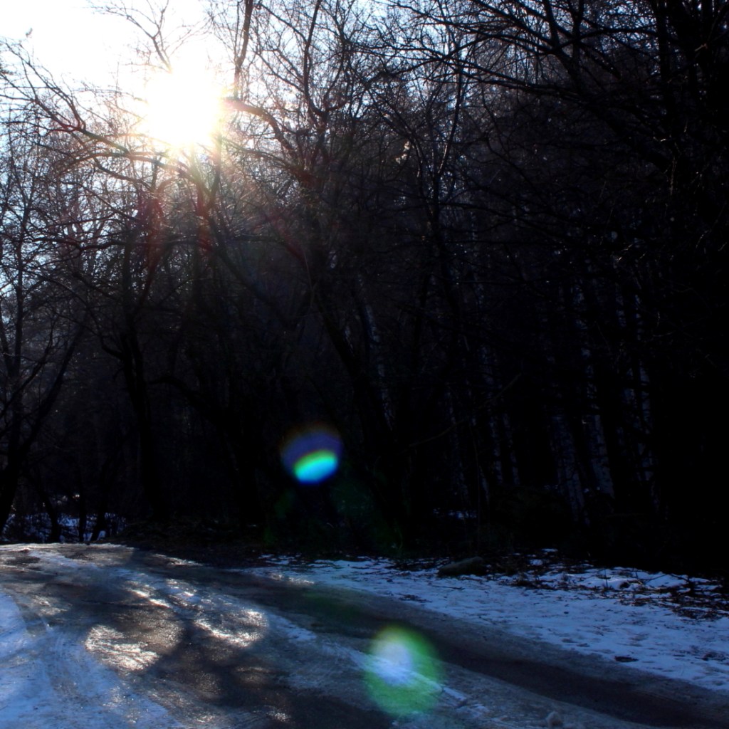 winter-lights-square